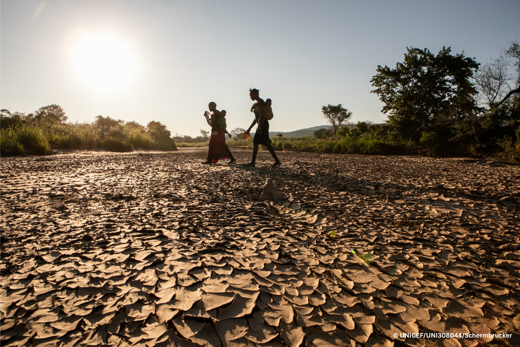 The Climate Crisis is an Education Crisis