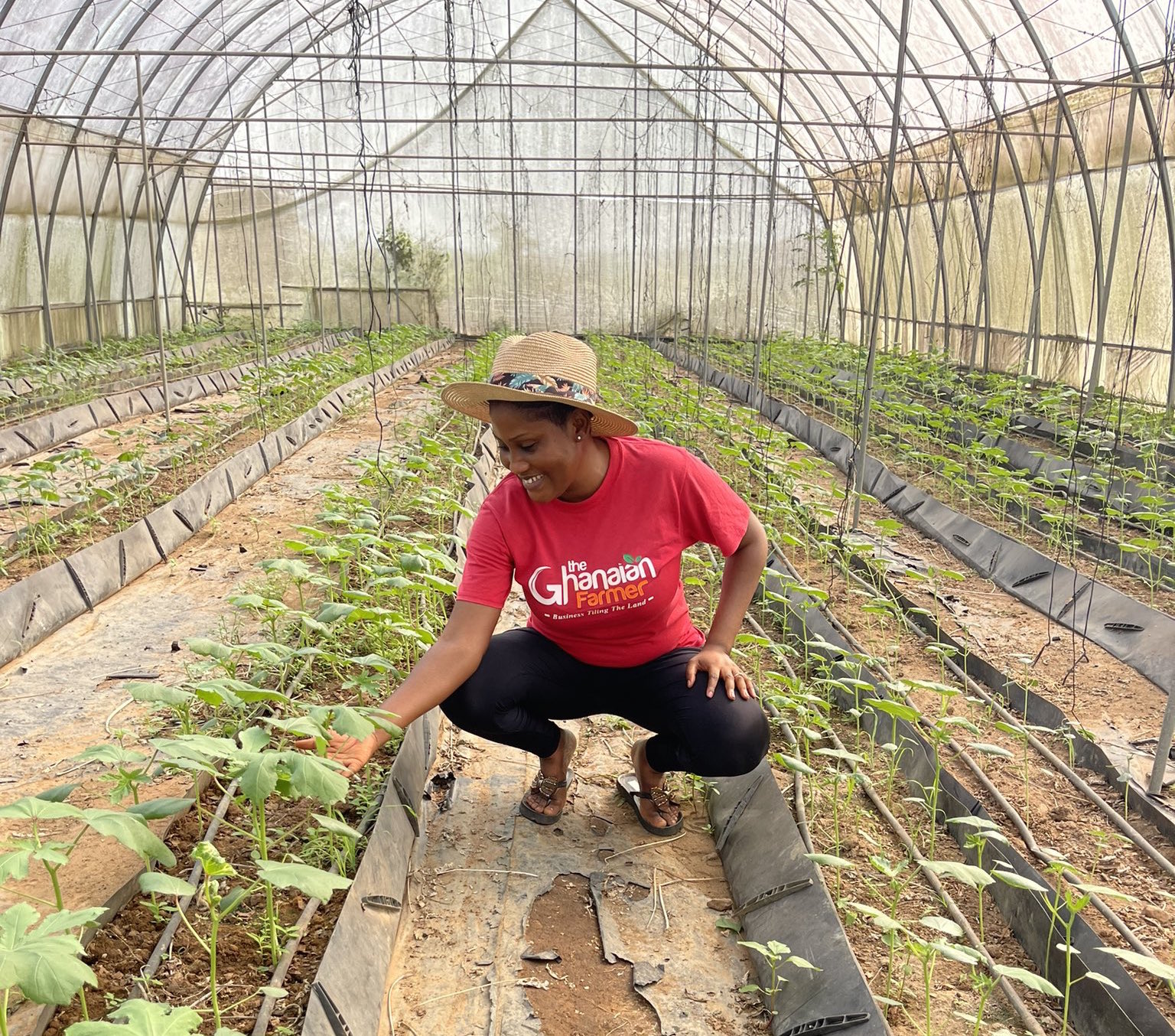 The Ghanaian Farmer: Bringing African Farmers’ Voices to the Forefront