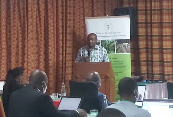 African regional forest management workshop off to a good start