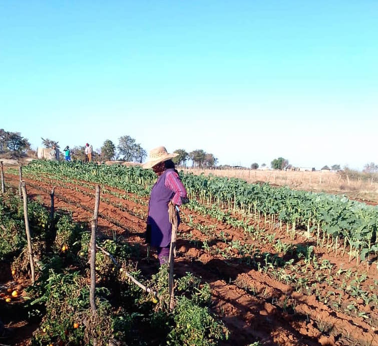 PELUM-Zimbabwe capacitates Mazvihwa community on water harvesting techniques