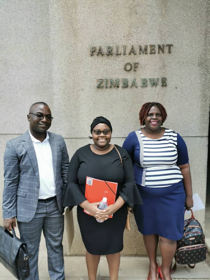 IYWD petitions Parliament on exorbitant ZEC nomination fees