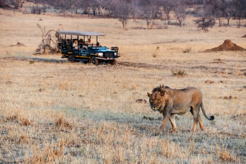 Matetsi Victoria Falls has featured in the Tatler Travel Awards 2023!