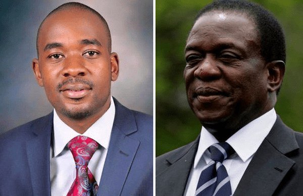 Mnangagwa’s cabinet is illegitimate: Promise Mkwananzi