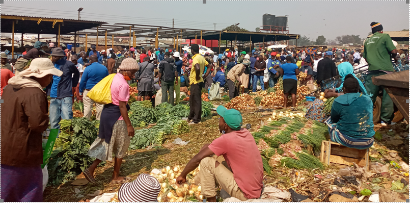 Transforming agricultural shows, trade fairs and competitions into genuine knowledge management platforms