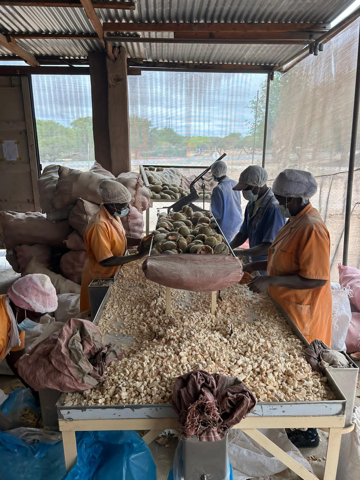 Baobab Collection throws a lifeline to communities in drier parts of Manicaland