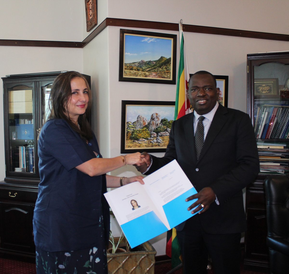 New UNICEF Representative in Zimbabwe presents credentials