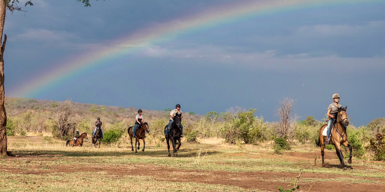 IFC getting Zimbabwe’s COVID-19 hit tourism sector back on track