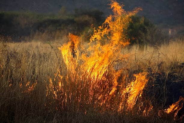 80-year-old Banket man dies in veld fire