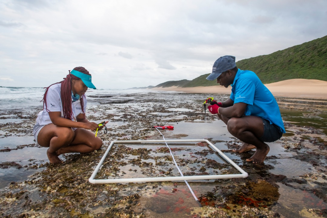 Zimbabwean teams compete in Tusk Wildlife Ranger Challenge 2022