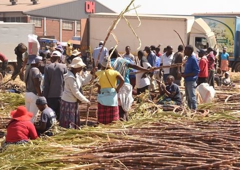 The significance of a Problem Statement in building resilient food systems